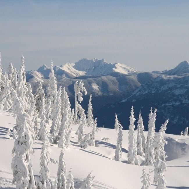 SasqMountain